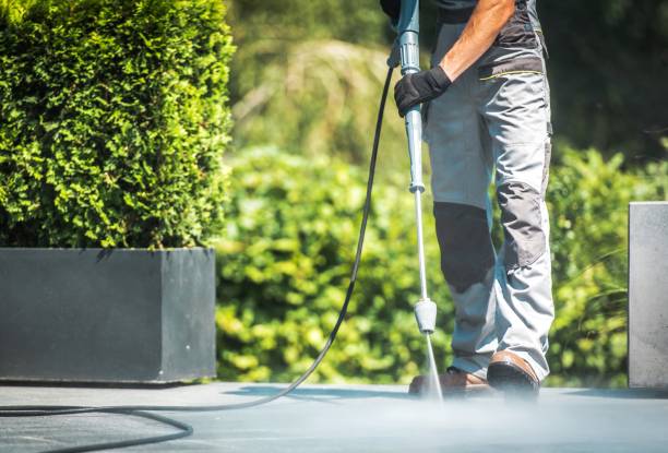 Best Animal Enclosure Cleaning  in Canyon Lake, TX